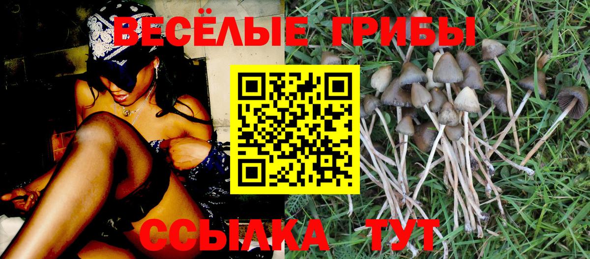 Галлюциногенные грибы Cubensis  Вход с VPN  Кушва 